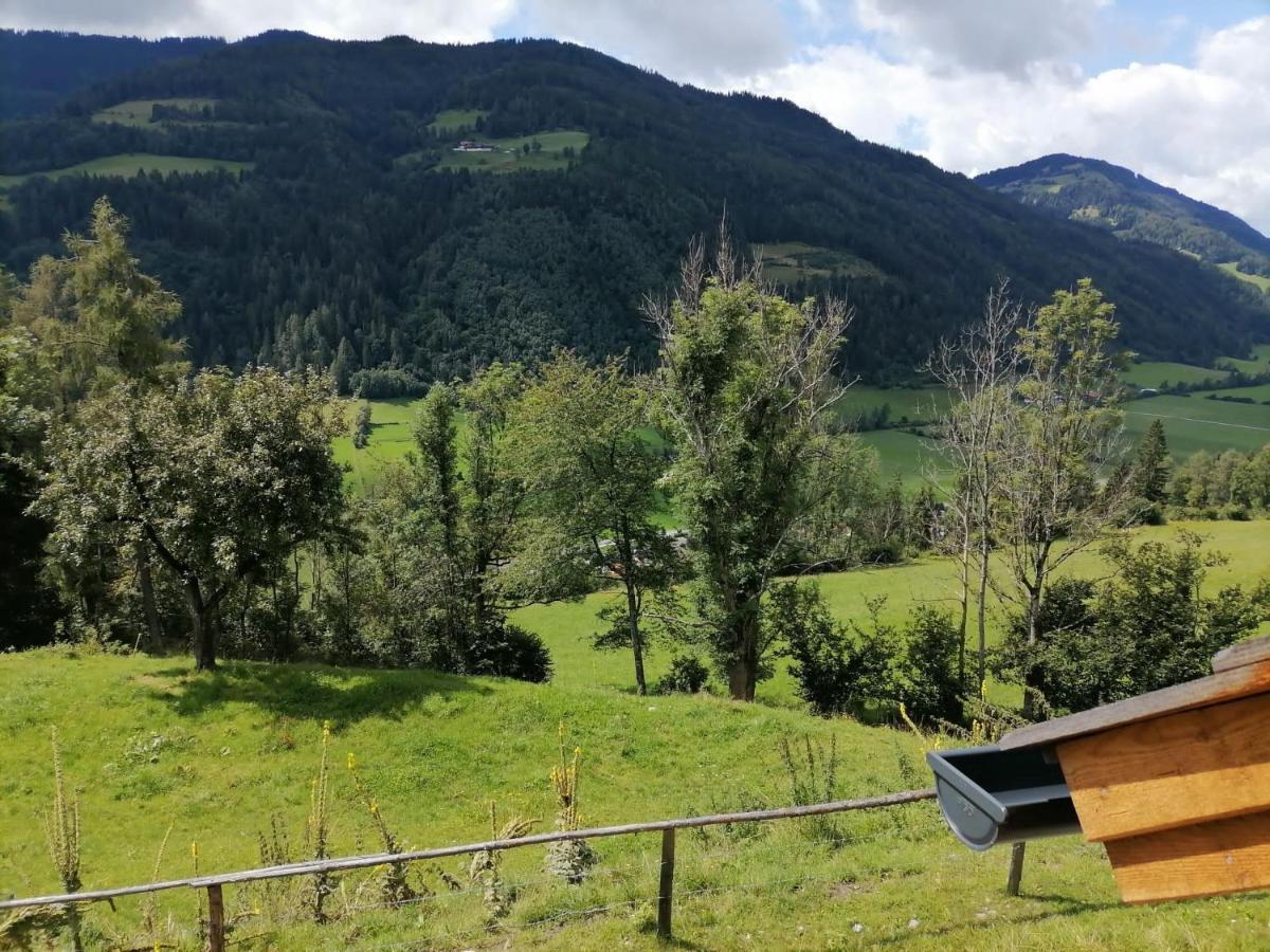 Sankt Peter am Kammersberg Laerchenhaus ,,Unterer Brodl"ヴィラ エクステリア 写真