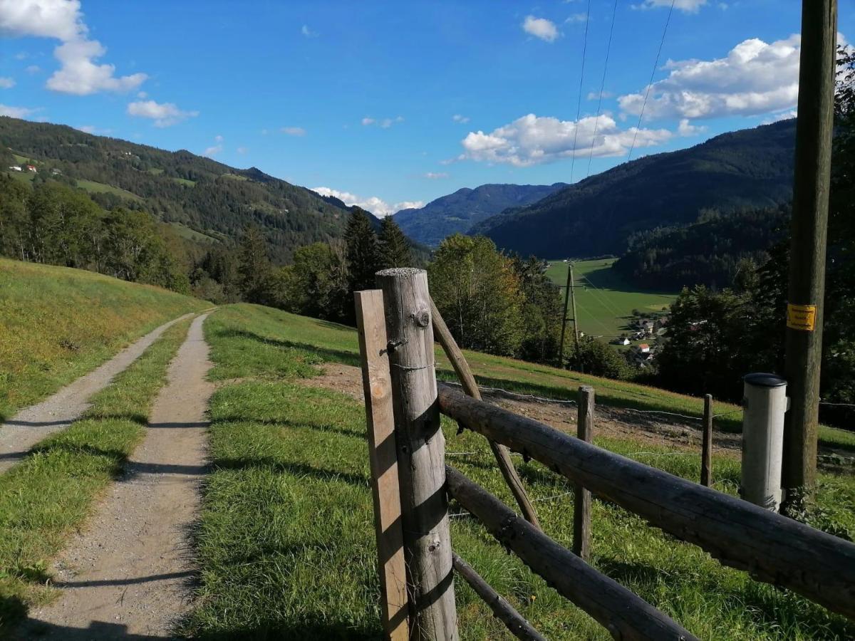 Sankt Peter am Kammersberg Laerchenhaus ,,Unterer Brodl"ヴィラ エクステリア 写真