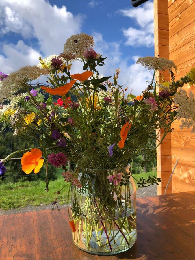 Sankt Peter am Kammersberg Laerchenhaus ,,Unterer Brodl"ヴィラ エクステリア 写真