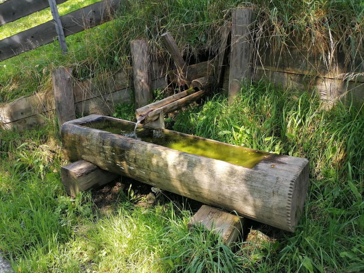 Sankt Peter am Kammersberg Laerchenhaus ,,Unterer Brodl"ヴィラ エクステリア 写真