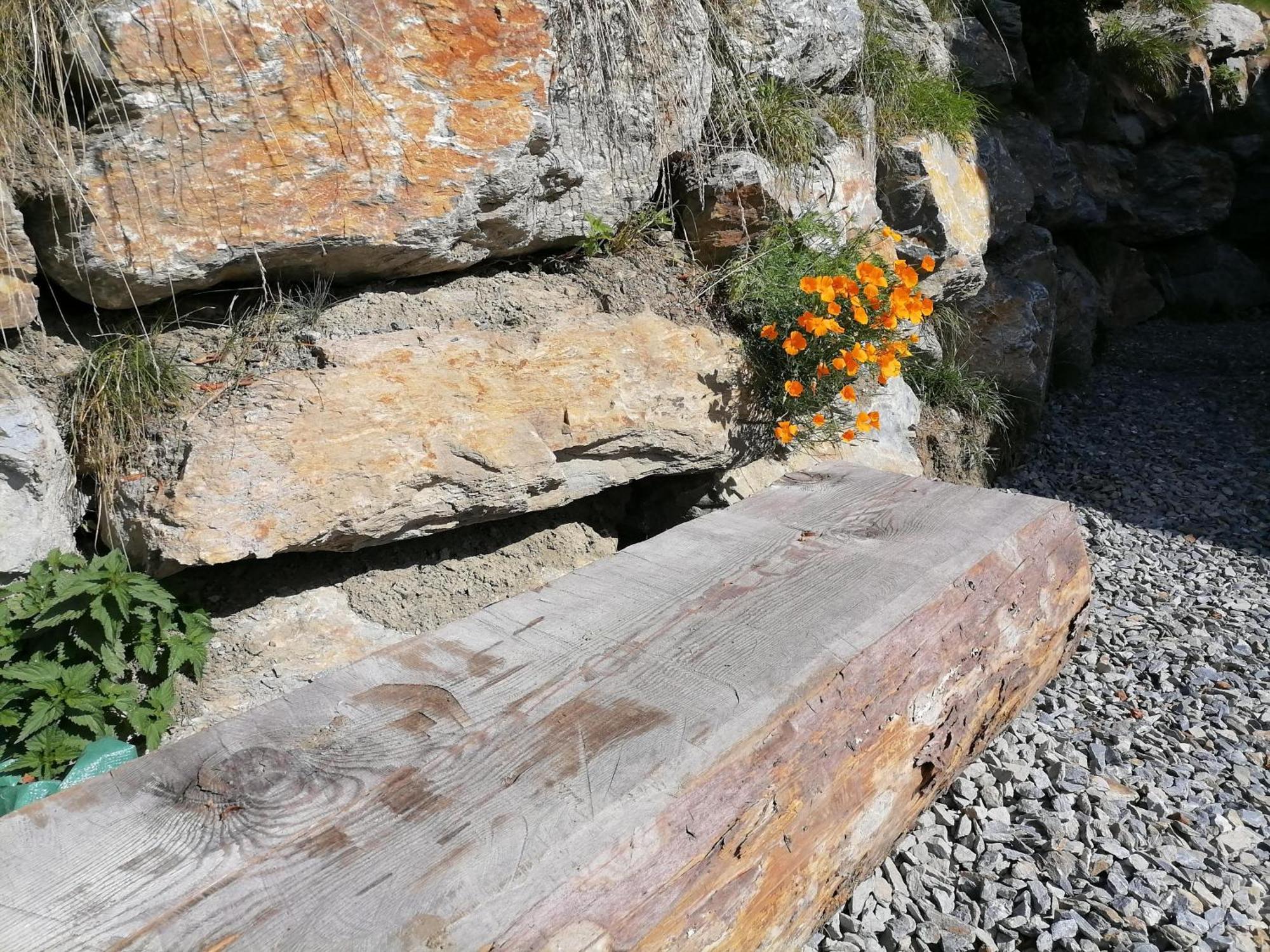 Sankt Peter am Kammersberg Laerchenhaus ,,Unterer Brodl"ヴィラ エクステリア 写真