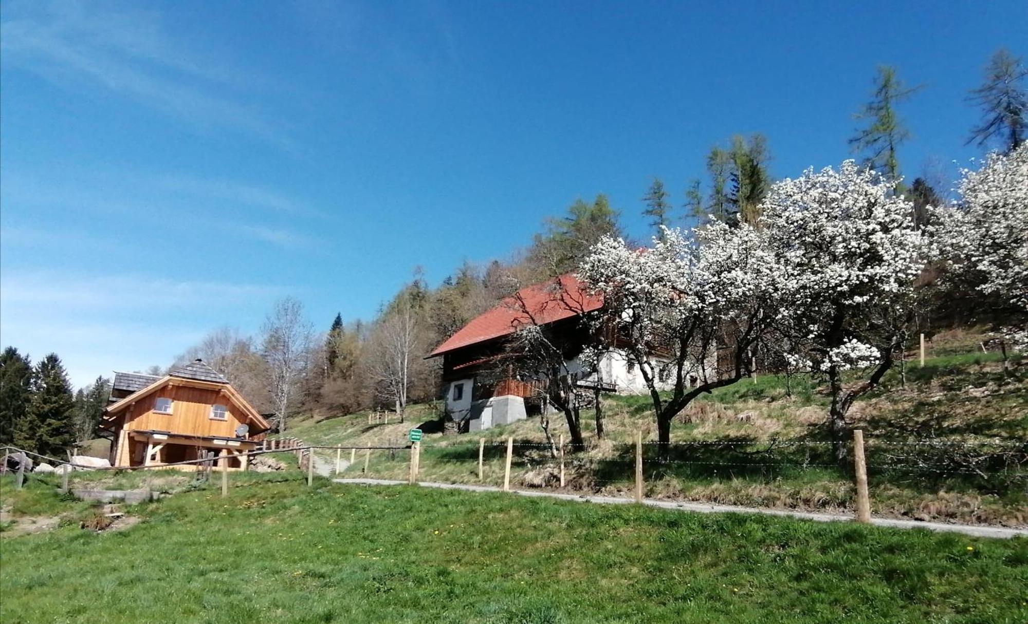 Sankt Peter am Kammersberg Laerchenhaus ,,Unterer Brodl"ヴィラ エクステリア 写真