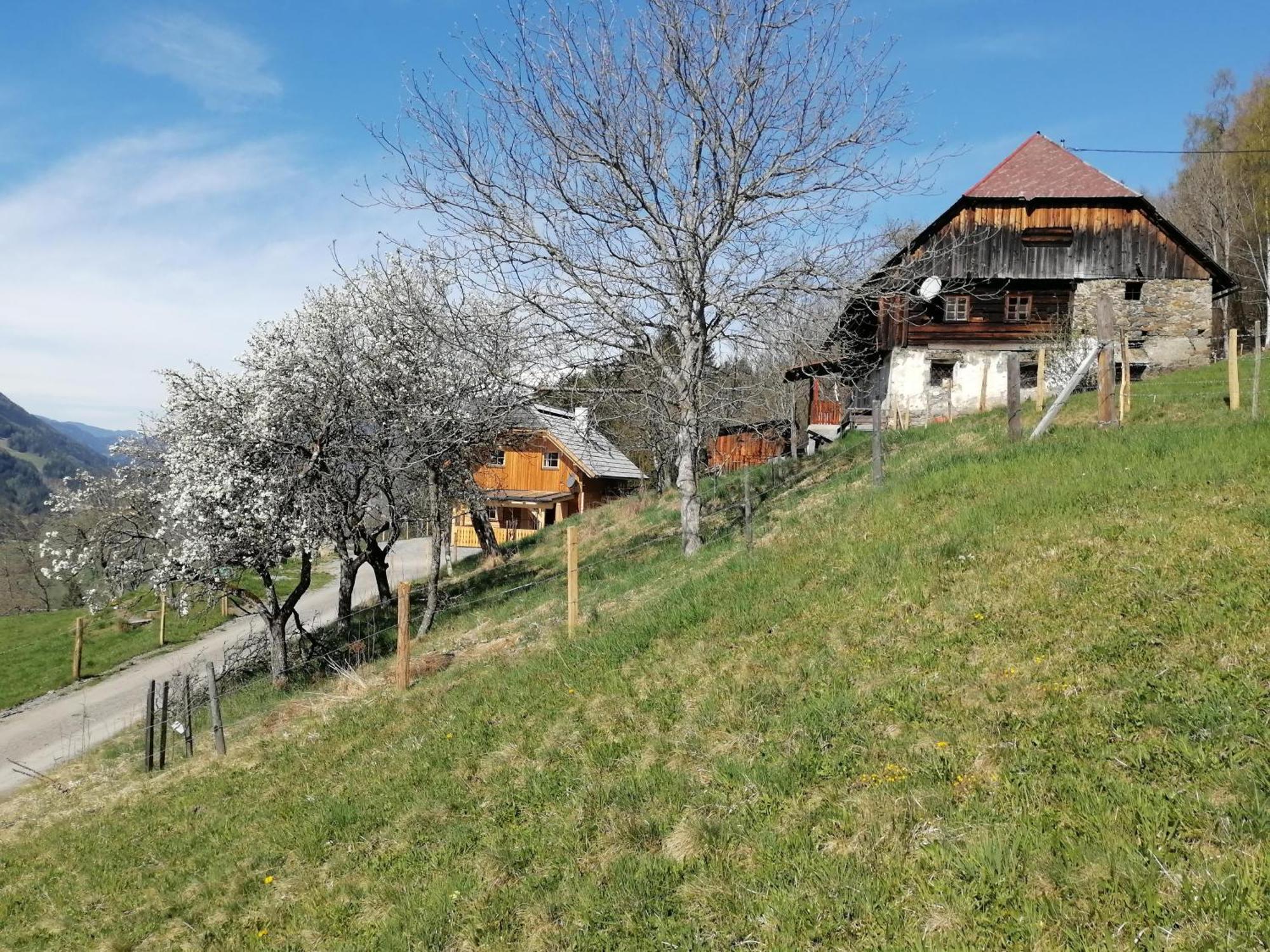Sankt Peter am Kammersberg Laerchenhaus ,,Unterer Brodl"ヴィラ エクステリア 写真