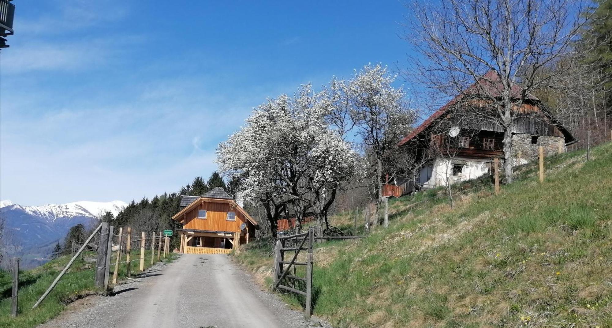Sankt Peter am Kammersberg Laerchenhaus ,,Unterer Brodl"ヴィラ エクステリア 写真